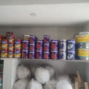 Indicus Paints